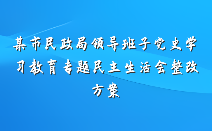 某市民政局领导班子党史学习教育专题民主生活会整改方案