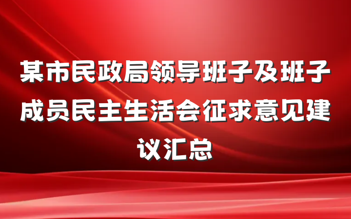 某市民政局领导班子及班子成员民主生活会征求意见建议汇总