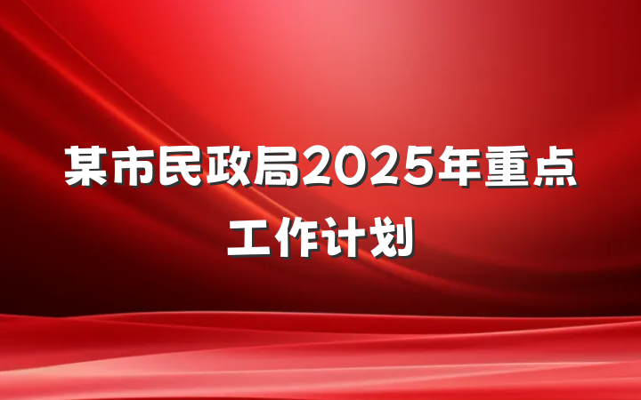 某市民政局2025年重点工作计划