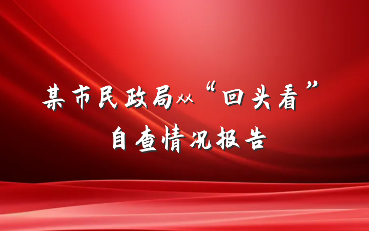 某市民政局xx“回头看”自查情况报告