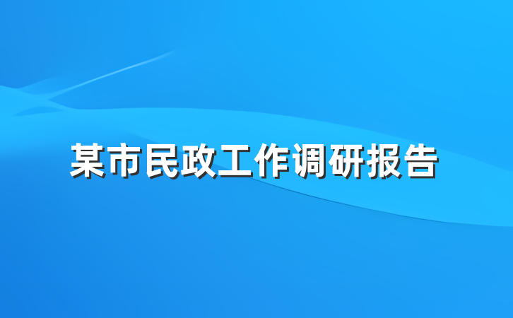 某市民政工作调研报告