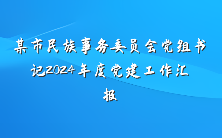 某市民族事务委员会党组书记2024年度党建工作汇报
