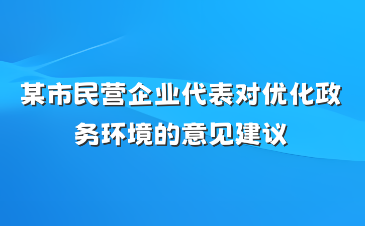 某市民营企业代表对优化政务环境的意见建议