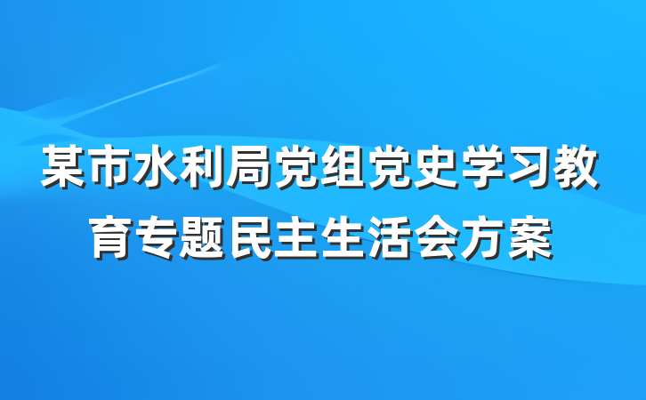 某市水利局党组党史学习教育专题民主生活会方案