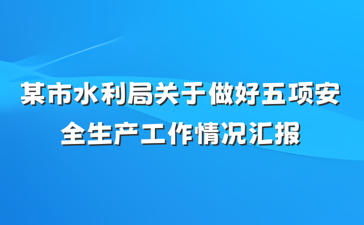 某市水利局关于做好五项安全生产工作情况汇报