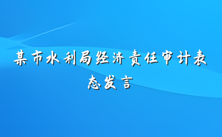 某市水利局经济责任审计表态发言