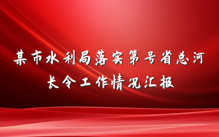 某市水利局落实第号省总河长令工作情况汇报