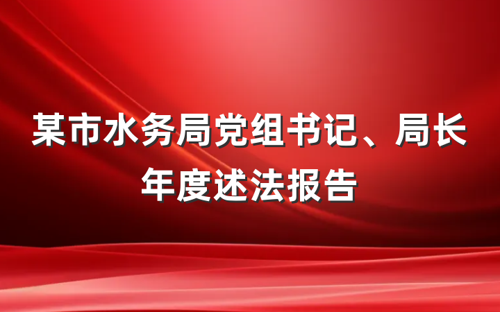 某市水务局党组书记、局长年度述法报告