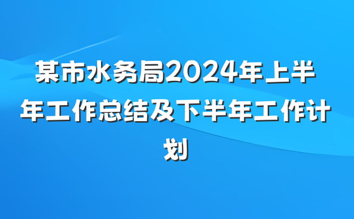 某市水务局2024年上半年工作总结及下半年工作计划