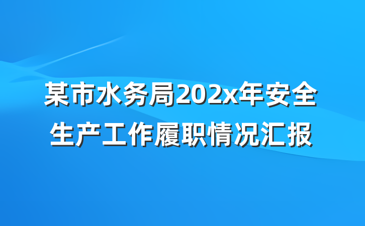 某市水务局202x年安全生产工作履职情况汇报