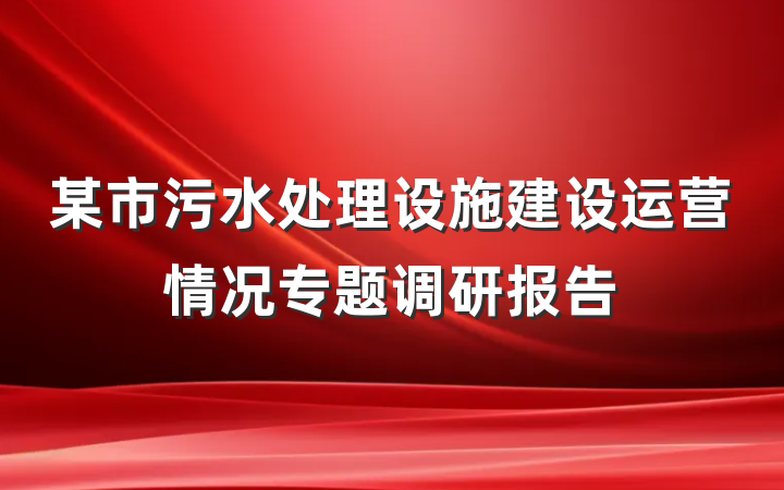 某市污水处理设施建设运营情况专题调研报告