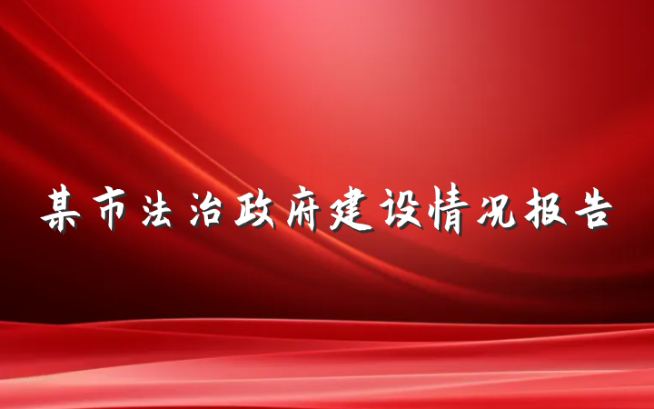某市法治政府建设情况报告