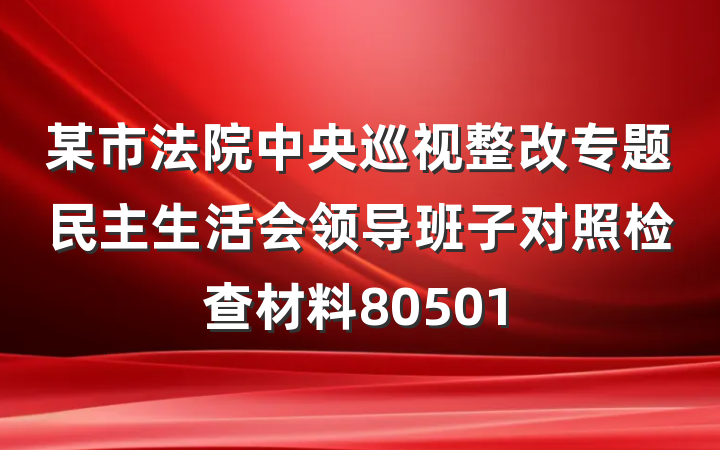 某市法院中央巡视整改专题民主生活会领导班子对照检查材料80501