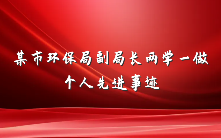 某市环保局副局长两学一做个人先进事迹
