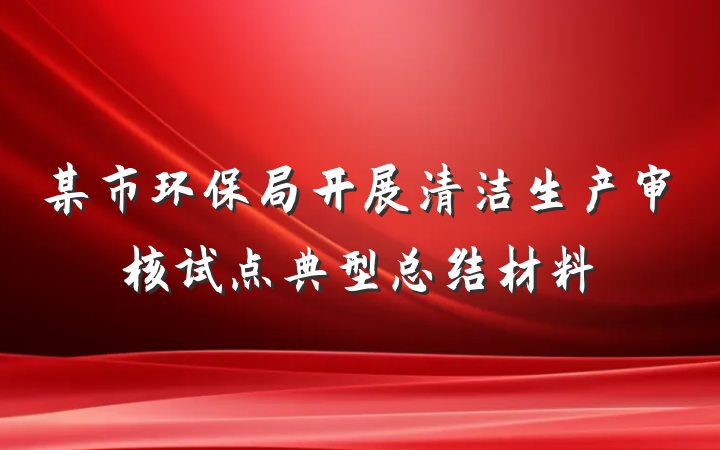 某市环保局开展清洁生产审核试点典型总结材料