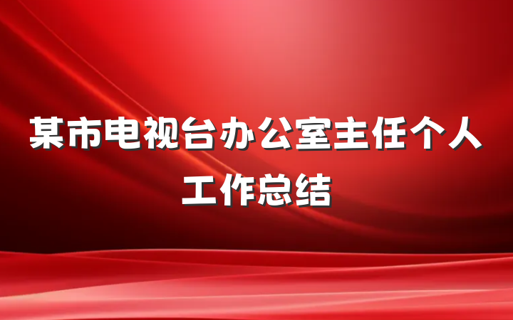 某市电视台办公室主任个人工作总结