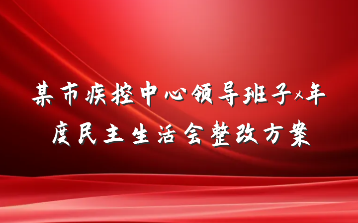 某市疾控中心领导班子x年度民主生活会整改方案