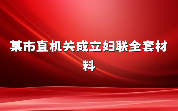 某市直机关成立妇联全套材料
