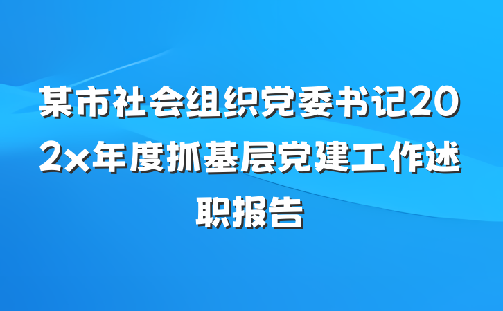 某市社会组织党委书记202x年度抓基层党建工作述职报告