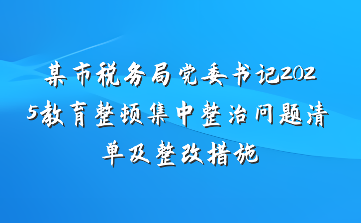 某市税务局党委书记2025教育整顿集中整治问题清单及整改措施