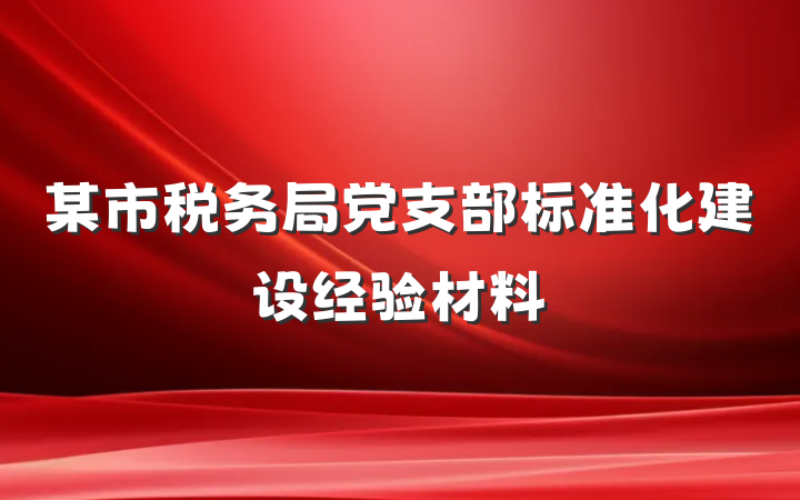 某市税务局党支部标准化建设经验材料