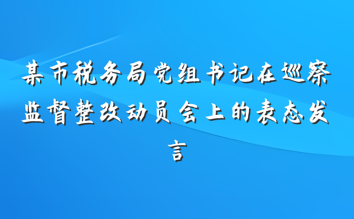 某市税务局党组书记在巡察监督整改动员会上的表态发言