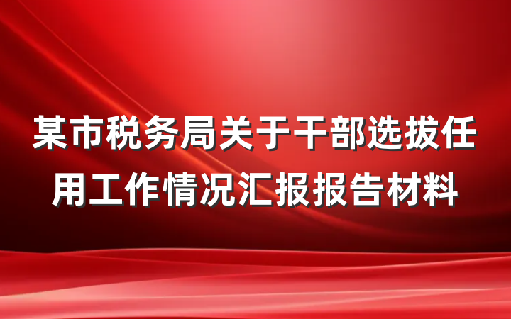 某市税务局关于干部选拔任用工作情况汇报报告材料