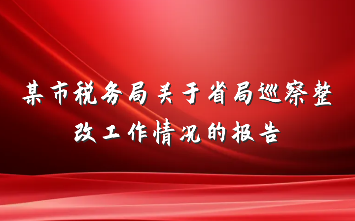 某市税务局关于省局巡察整改工作情况的报告