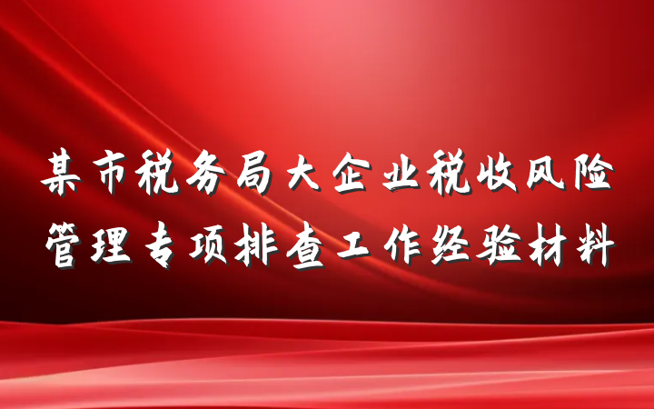 某市税务局大企业税收风险管理专项排查工作经验材料