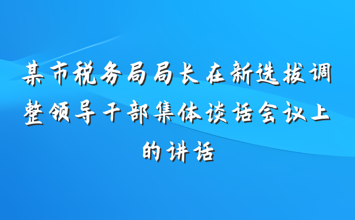 某市税务局局长在新选拔调整领导干部集体谈话会议上的讲话