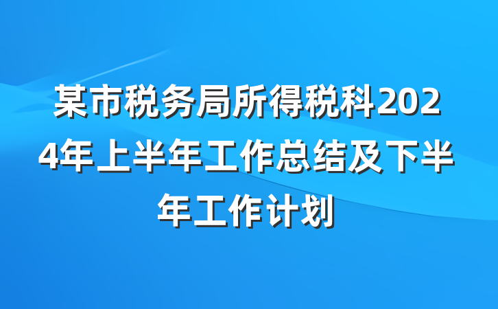 某市税务局所得税科2024年上半年工作总结及下半年工作计划
