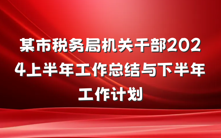 某市税务局机关干部2024上半年工作总结与下半年工作计划