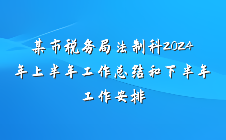 某市税务局法制科2024年上半年工作总结和下半年工作安排