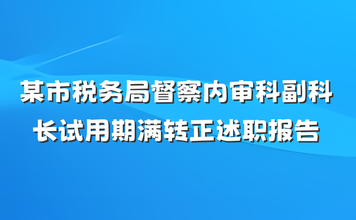某市税务局督察内审科副科长试用期满转正述职报告