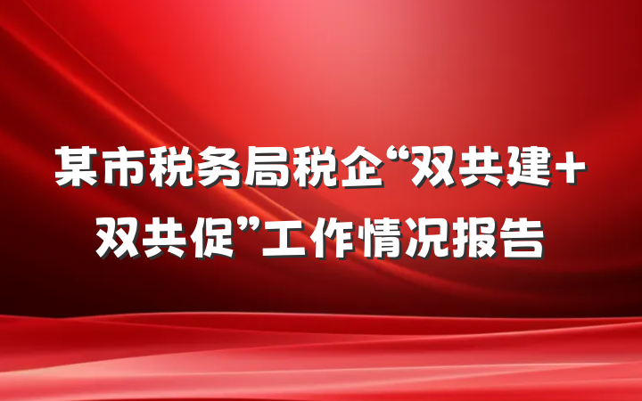 某市税务局税企“双共建 双共促”工作情况报告