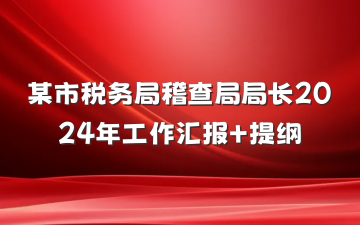 某市税务局稽查局局长2024年工作汇报 提纲