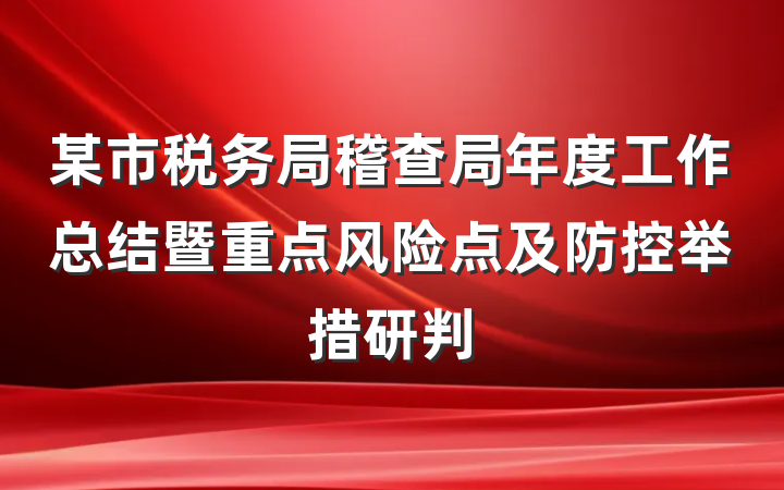 某市税务局稽查局年度工作总结暨重点风险点及防控举措研判