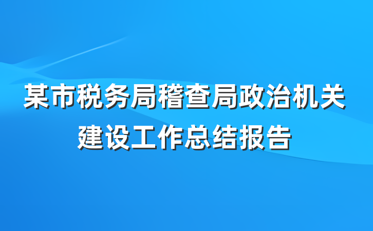 某市税务局稽查局政治机关建设工作总结报告