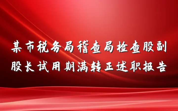 某市税务局稽查局检查股副股长试用期满转正述职报告