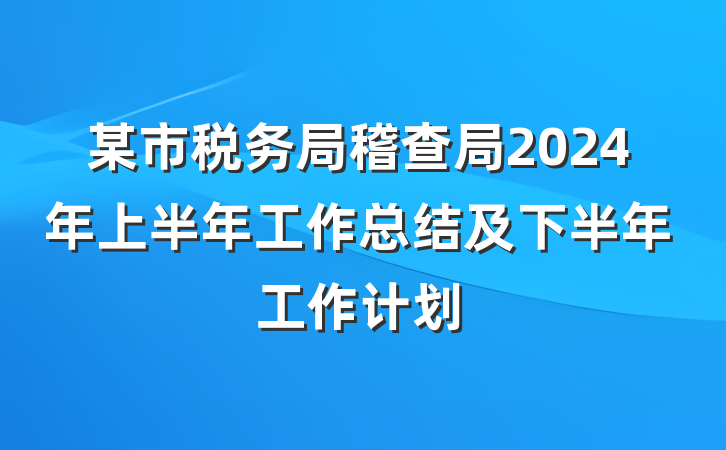 某市税务局稽查局2024年上半年工作总结及下半年工作计划