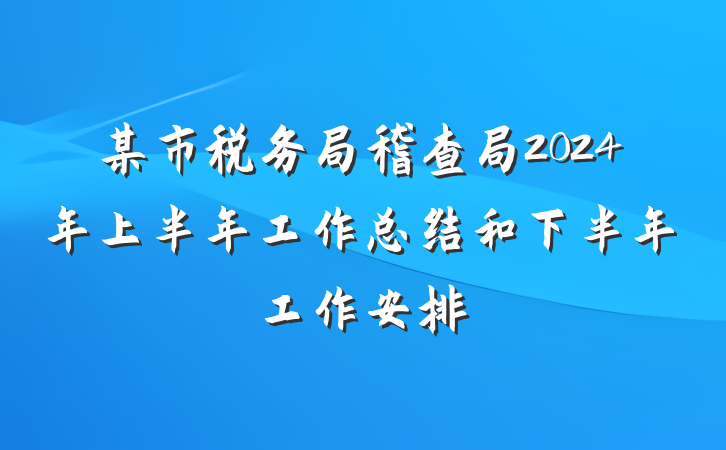 某市税务局稽查局2024年上半年工作总结和下半年工作安排