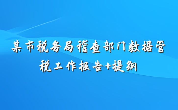 某市税务局稽查部门数据管税工作报告 提纲