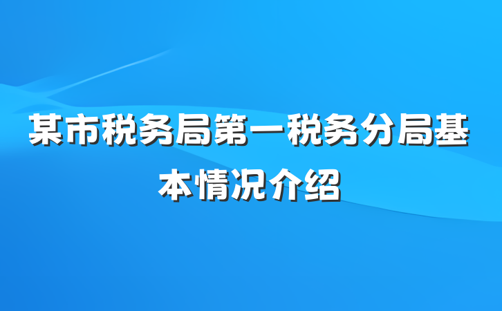 某市税务局第一税务分局基本情况介绍