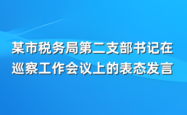 某市税务局第二支部书记在巡察工作会议上的表态发言