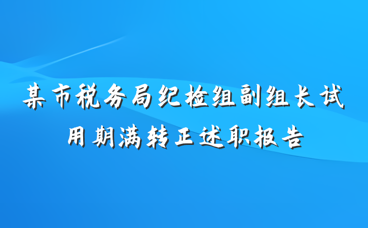 某市税务局纪检组副组长试用期满转正述职报告