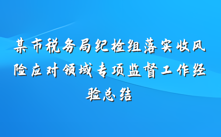 某市税务局纪检组落实收风险应对领域专项监督工作经验总结