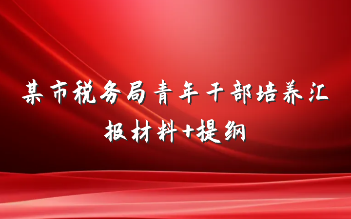 某市税务局青年干部培养汇报材料 提纲