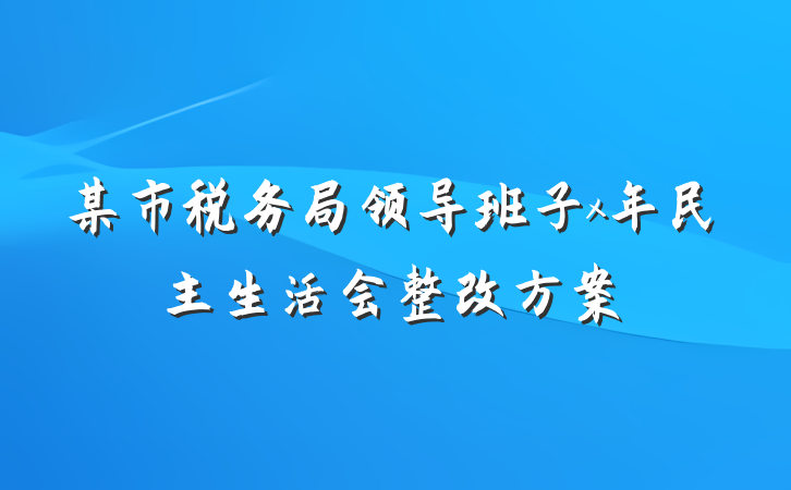 某市税务局领导班子x年民主生活会整改方案