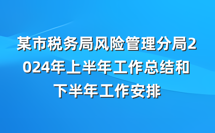 某市税务局风险管理分局2024年上半年工作总结和下半年工作安排