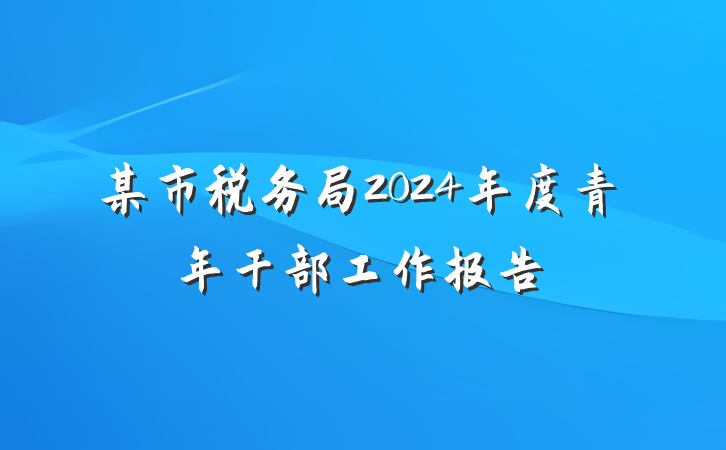 某市税务局2024年度青年干部工作报告